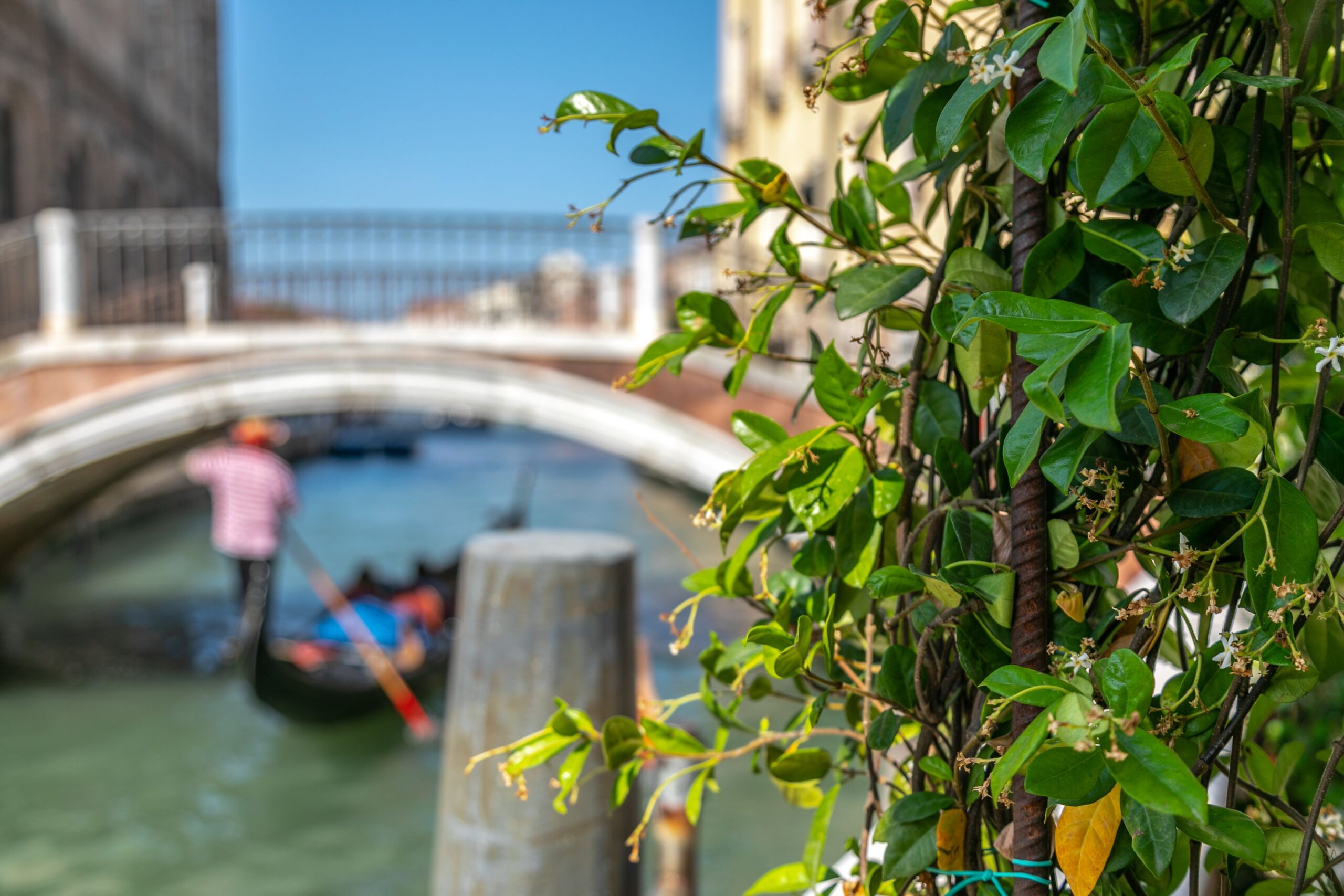 The canal and garden view from the Madama Garden Retreat Hotel in Venice Review